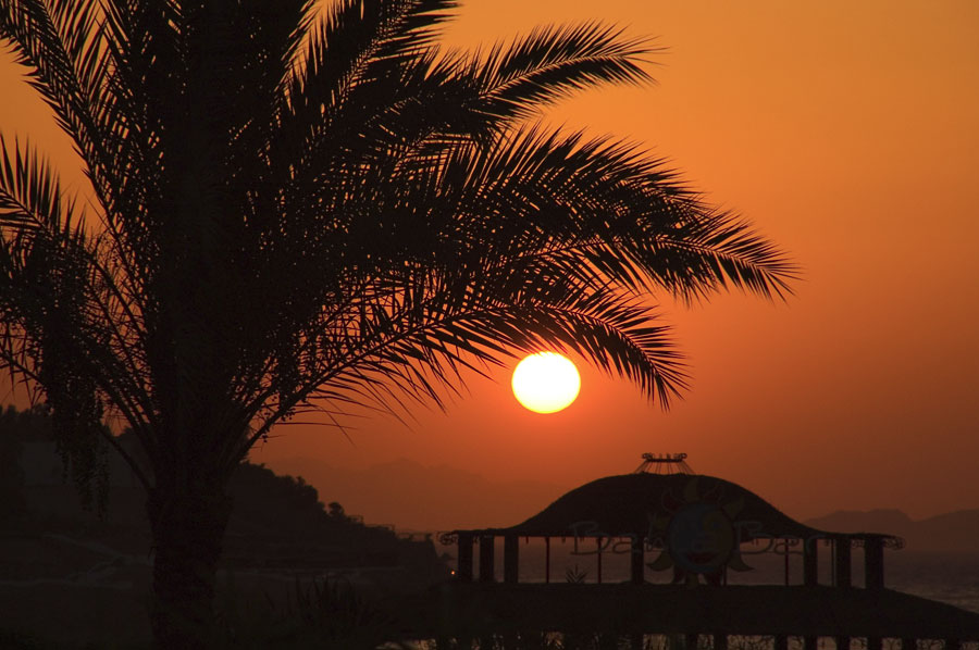 ��������� ����