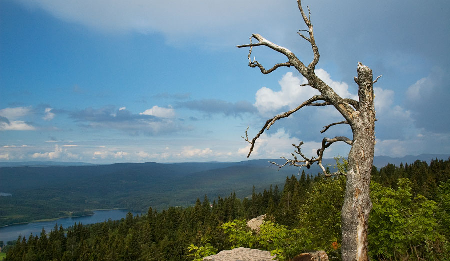 ��������� ����