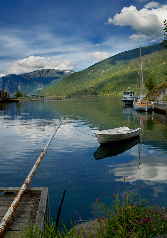 ��������� ����