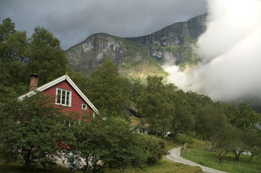 ��������� ����