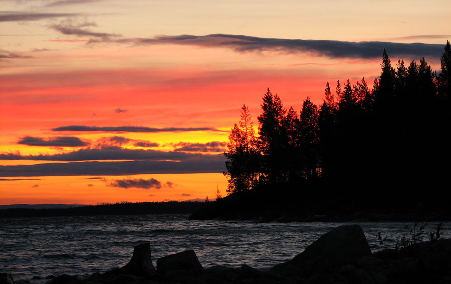 ��������� ����