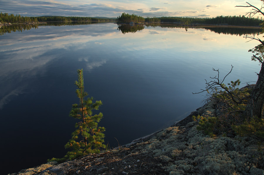 ��������� ����