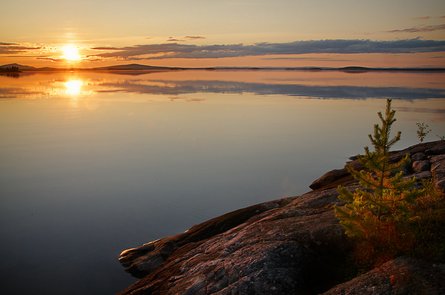 ��������� ����