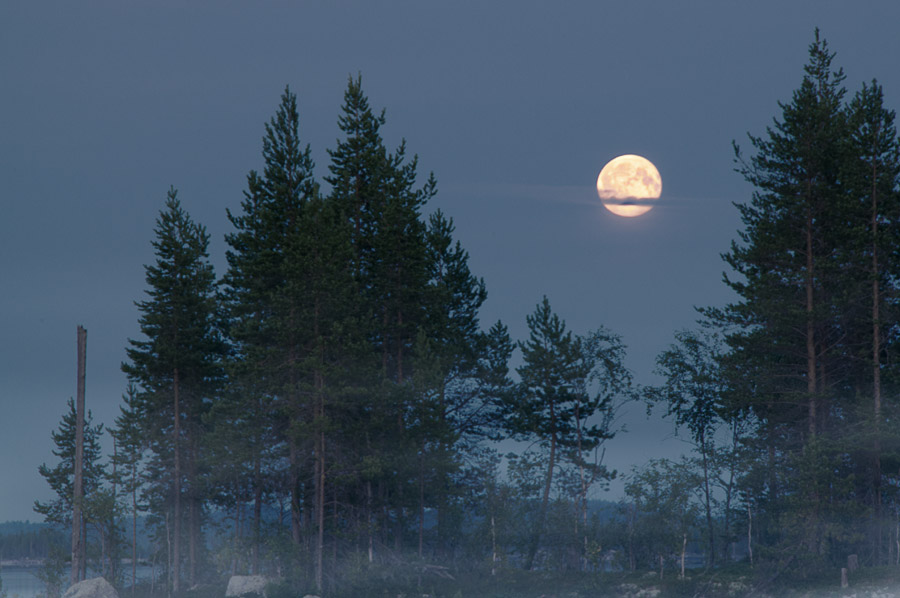 ��������� ����