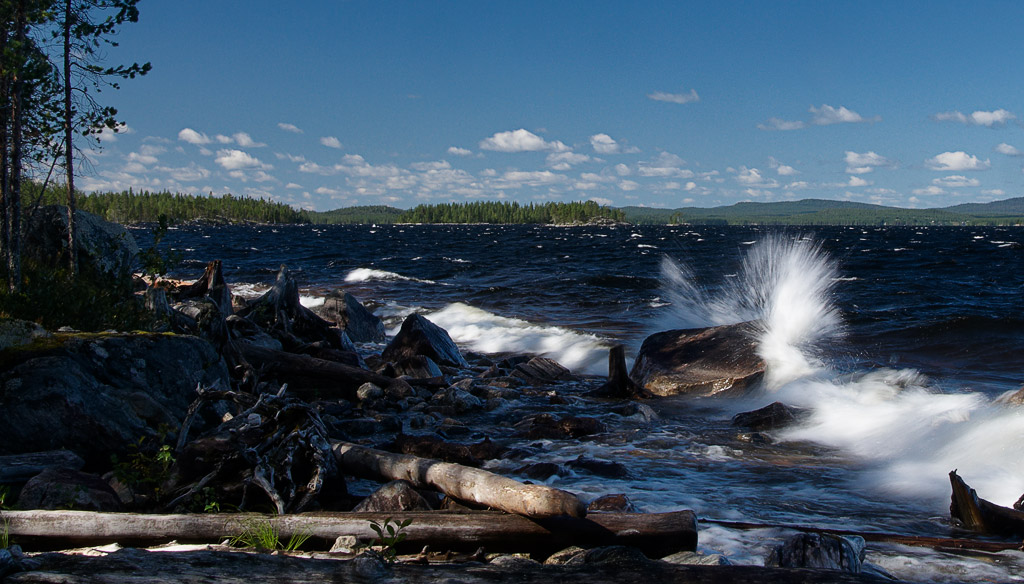 ��������� ����