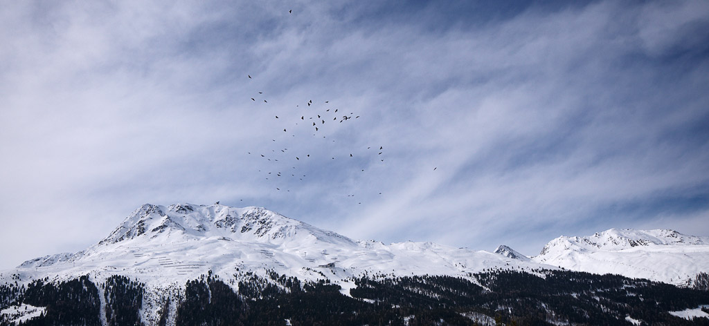 ��������� ����