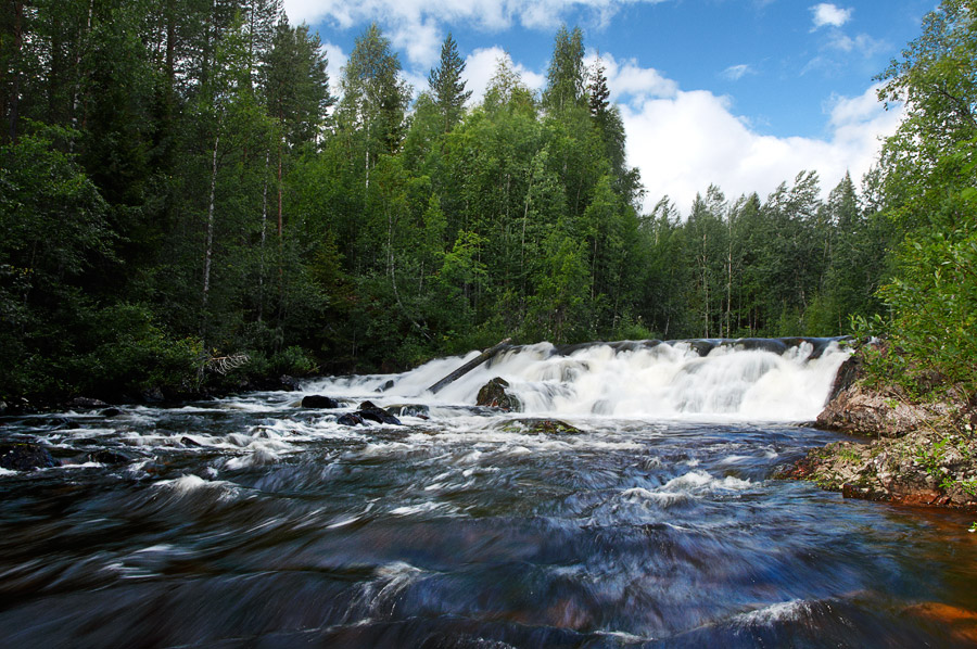 ��������� ����