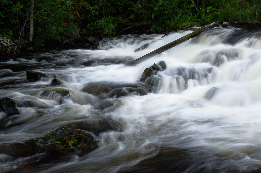 ��������� ����