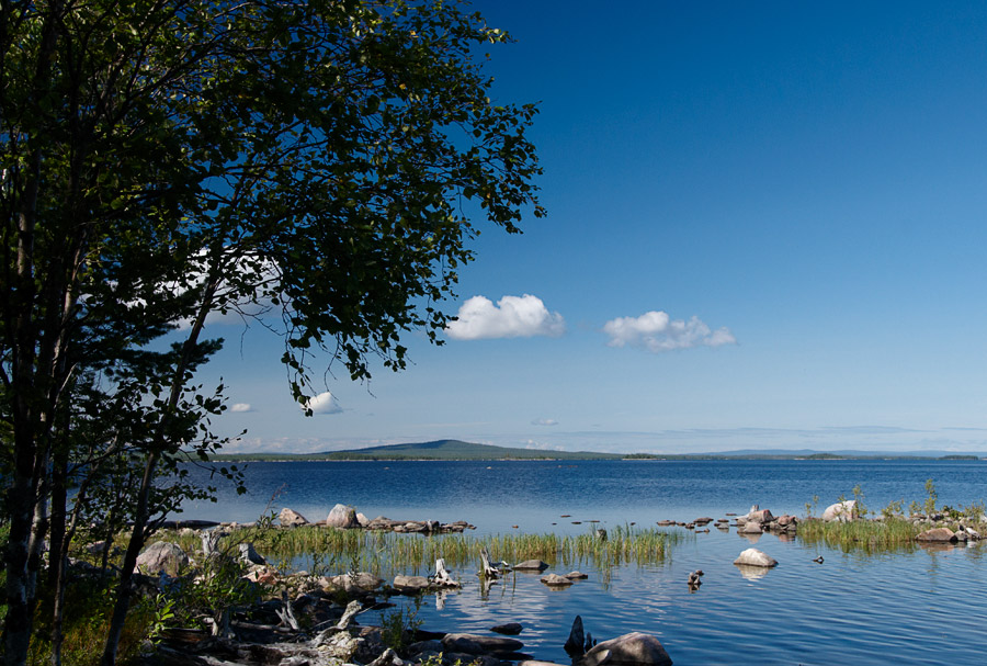 ��������� ����