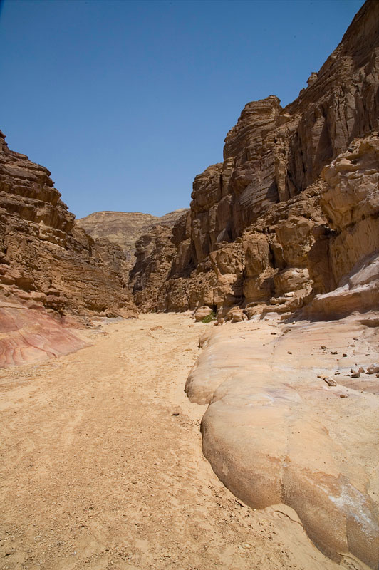 ��������� ����