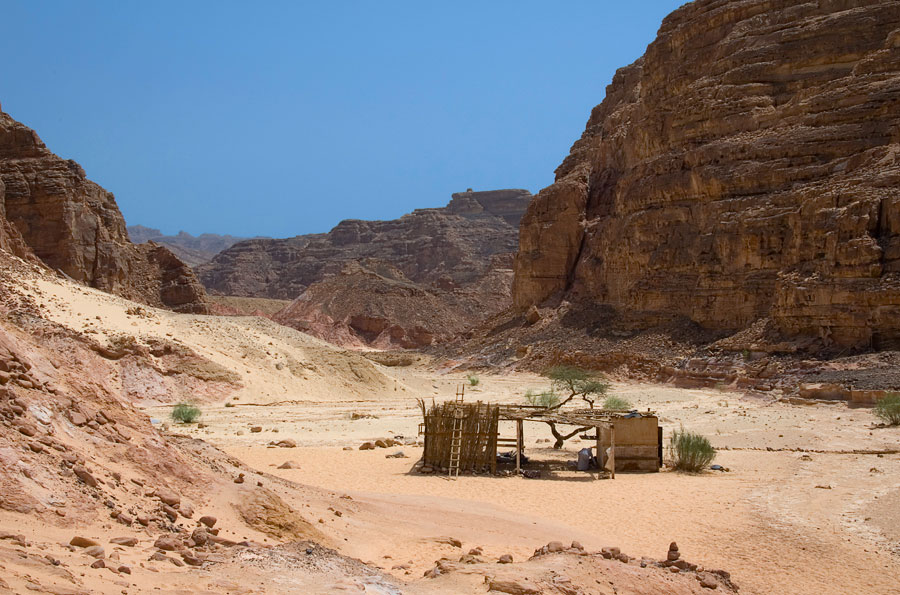 ��������� ����