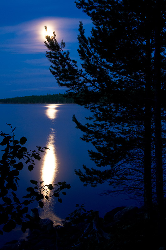 ��������� ����