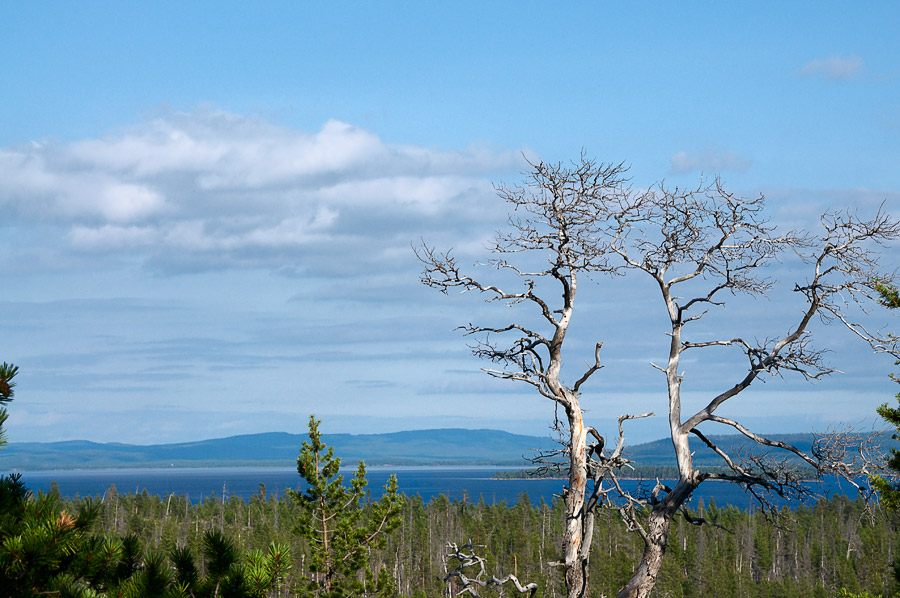 ��������� ����