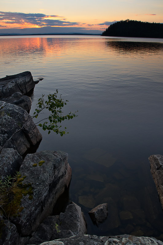 ��������� ����