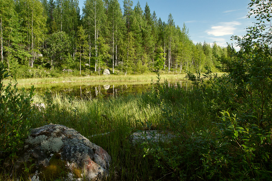 ��������� ����