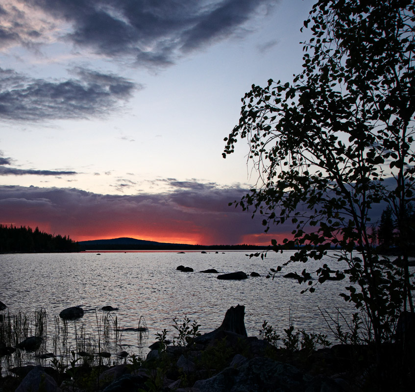 ��������� ����