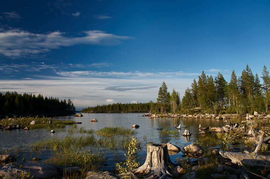 ��������� ����