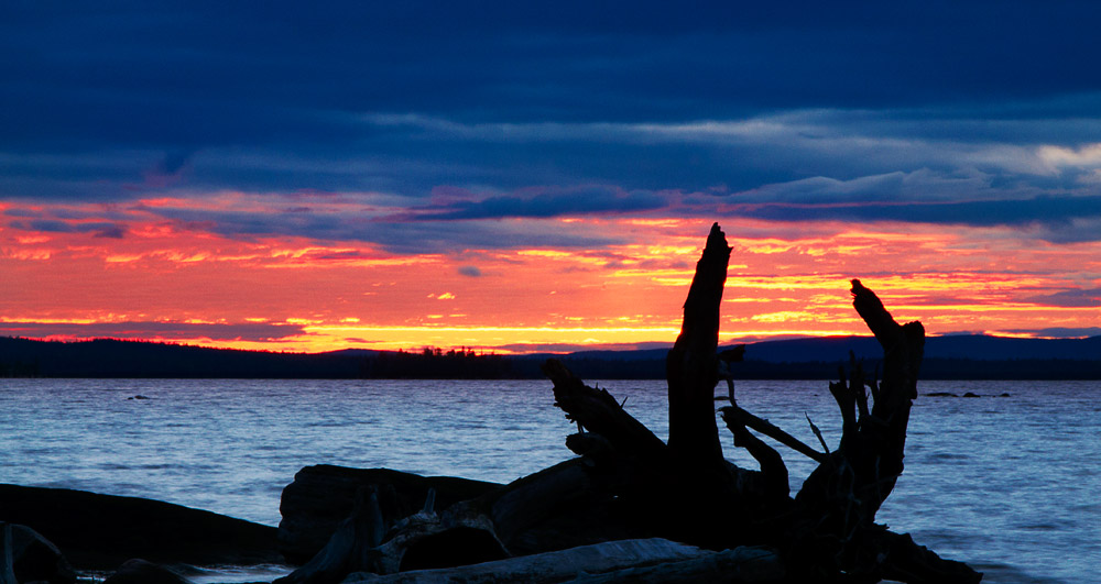 ��������� ����