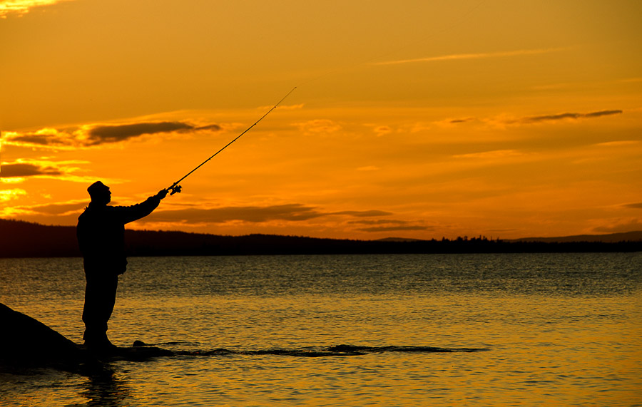 ��������� ����