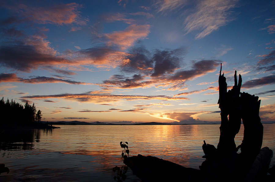 ��������� ����