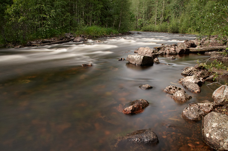 ��������� ����