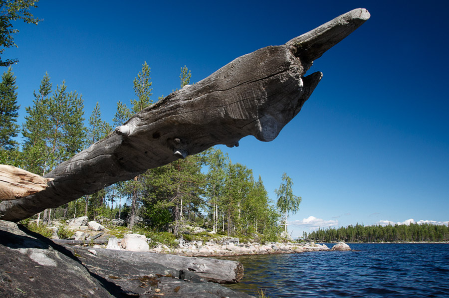 ��������� ����