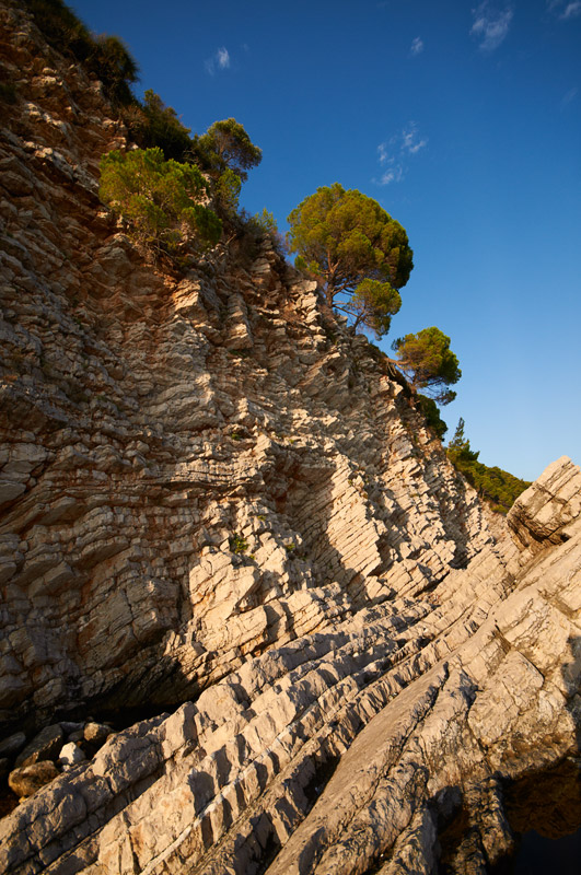 ��������� ����